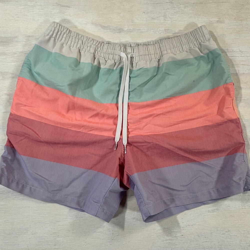 Chubbies Striped Multicolor Shorts Men's XL Casual Athletic Beach Gym Drawstring